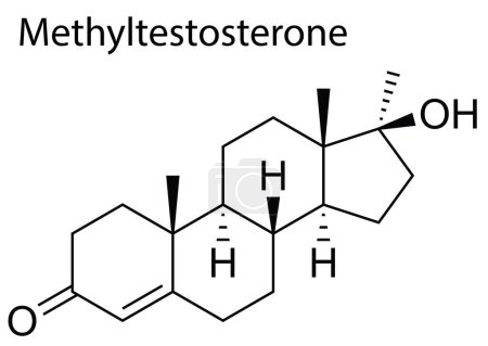 Téléchargez les illustrations : Un vecteur de la structure chimique de Methyltestosterone stéroïde anabolisant-androgène - en licence libre de droit