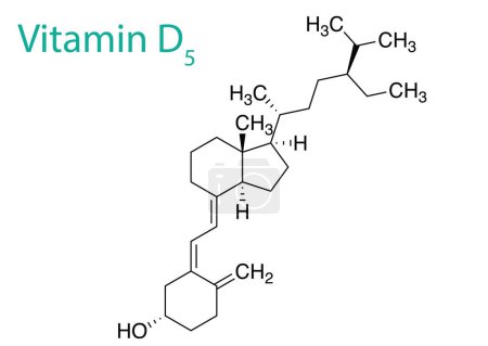 Téléchargez les illustrations : Illustration vectorielle de la structure moléculaire de la vitamine D5 - en licence libre de droit