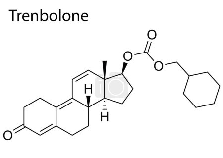 Ilustración de Un vector de la estructura química de trembolona esteroide anabólico androgénico - Imagen libre de derechos