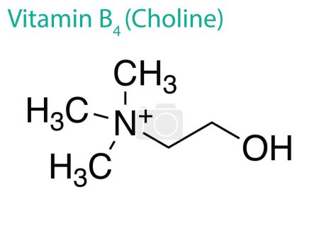 Téléchargez les illustrations : Illustration d'une molécule de vitamine B4 isolée sur fond blanc - en licence libre de droit