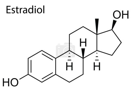 Ilustración de Un vector de la estructura molecular de Estradiol esteroide humano - Imagen libre de derechos
