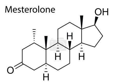 Ilustración de Un vector de la estructura química de Mesterolone esteroide anabólico androgénico - Imagen libre de derechos