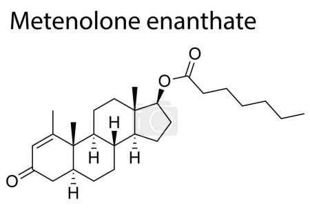 Téléchargez les illustrations : Un vecteur de la structure chimique de Metenolone enanthate stéroïde anabolisant-androgène - en licence libre de droit