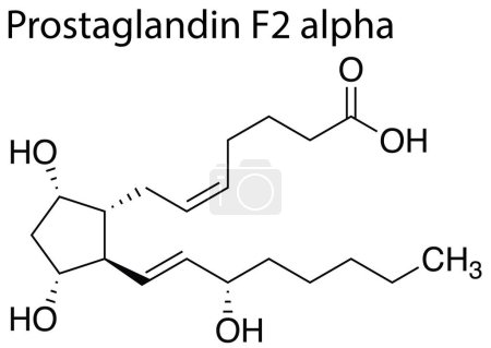 Illustration for A Chemical formula structure of prostaglandin F2 alpha on white background - Royalty Free Image