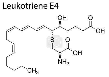 Ilustración de Una estructura de fórmula química de Leucotrieno E4 sobre fondo blanco - Imagen libre de derechos