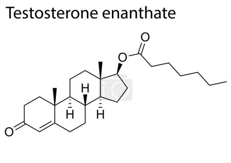 Téléchargez les illustrations : Un vecteur de la structure chimique du stéroïde anabolisant androgène d'énanthate de testostérone - en licence libre de droit