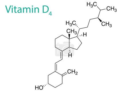 Illustration for A vector illustration of the molecule structure of Vitamin D4 - Royalty Free Image