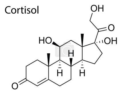 Ilustración de Un vector de la estructura molecular del esteroide humano Cortisol - Imagen libre de derechos