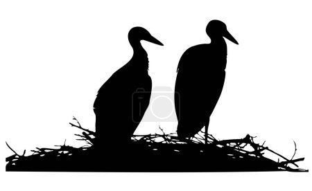 Illustration for A silhouette of a pair of storks on the nest on a white background. - Royalty Free Image