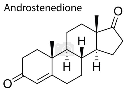 Ilustración de Un vector de la estructura molecular del esteroide humano de Androstenedione - Imagen libre de derechos