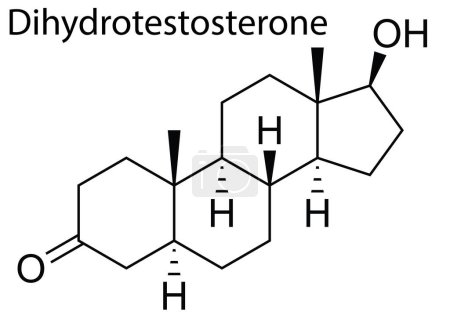 Téléchargez les illustrations : Un vecteur de la structure moléculaire de la dihydrotestostérone stéroïde humain - en licence libre de droit