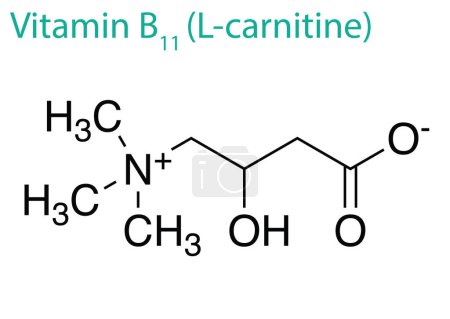 Téléchargez les illustrations : Illustration d'une molécule de vitamine B11 isolée sur fond blanc - en licence libre de droit