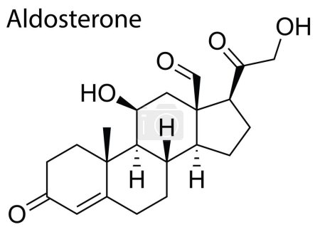 Ilustración de Un vector de la estructura molecular de Aldosterone esteroide humano - Imagen libre de derechos
