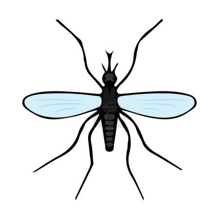 Téléchargez les illustrations : Un moustique isolé sur un fond vertical blanc. - en licence libre de droit