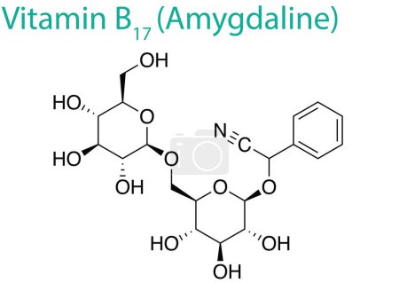 Illustration for A vector illustration of the molecule structure of Vitamin B17 (Amygdaline) - Royalty Free Image