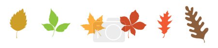 Téléchargez les illustrations : Un ensemble de feuilles d'automne dans le vent sur fond blanc - en licence libre de droit