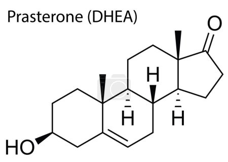 Illustration for A vector of the chemical structure of Prasterone (DHEA) anabolic-androgenic steroid - Royalty Free Image
