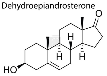 Ilustración de Un vector de la estructura molecular de Dehydroepiandrosterone esteroide humano - Imagen libre de derechos