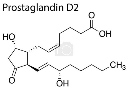 Illustration for A Chemical formula structure of prostaglandin D2 on white background - Royalty Free Image