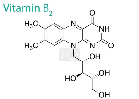 Téléchargez les illustrations : Un dessin graphique sur fond blanc illustrant la structure de la vitamine B2 - en licence libre de droit