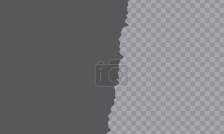 Ilustración de El detalle gris espina diagonal sobre un fondo PNG transparente - Imagen libre de derechos