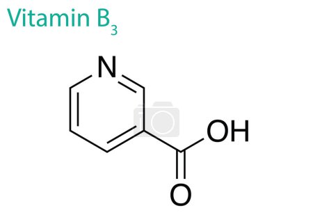 Illustration for An illustration of a Vitamin B3 molecule isolated on a white background - Royalty Free Image