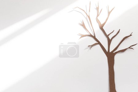 Photo for A bare handmade cardboard tree pierced by a ray of light on a white background - Royalty Free Image