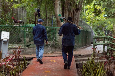 Photo for Melgar, Colombia - April 6, 2024. Two unrecognizable men in uniform walk through a zoo. Zoo workers with brooms and shovels. Maintenance service. Cafam vacation center, Melgar - Tolima. - Royalty Free Image