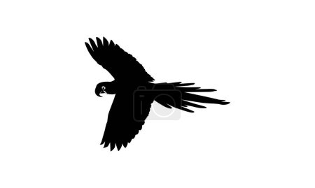 Ilustración de Flying Macaw Bird Silhouette para logotipo, pictograma, ilustración de arte, sitio web o elemento de diseño gráfico. Ilustración vectorial - Imagen libre de derechos