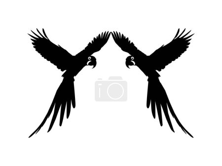 Ilustración de Flying Macaw Bird Silhouette para logotipo, pictograma, ilustración de arte, sitio web o elemento de diseño gráfico. Ilustración vectorial - Imagen libre de derechos
