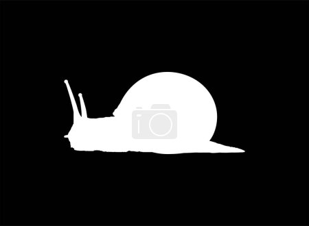 Téléchargez les illustrations : Les escargots sont aussi appelés Escargot Silhouette for Logo, Art Illustration, Apps, Website or Graphic Design Element. Illustration vectorielle - en licence libre de droit