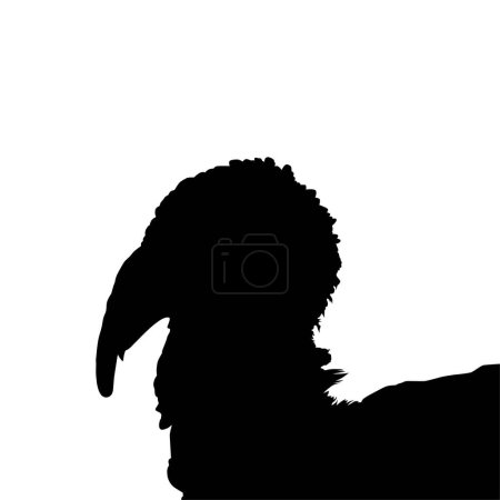 Illustration for Turkey Head Silhouette for Art Illustration, Pictogram or Graphic Design Element. The Turkey is a large bird in the genus Meleagris. Vector Illustration - Royalty Free Image