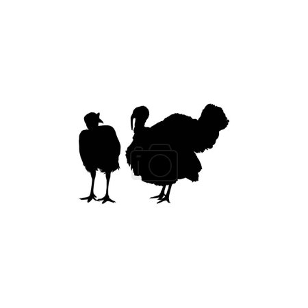 Illustration for Pair of Turkey Silhouette for Art Illustration, Pictogram or Graphic Design Element. The Turkey is a large bird in the genus Meleagris. Vector Illustration - Royalty Free Image
