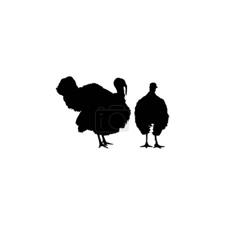 Illustration for Pair of Turkey Silhouette for Art Illustration, Pictogram or Graphic Design Element. The Turkey is a large bird in the genus Meleagris. Vector Illustration - Royalty Free Image