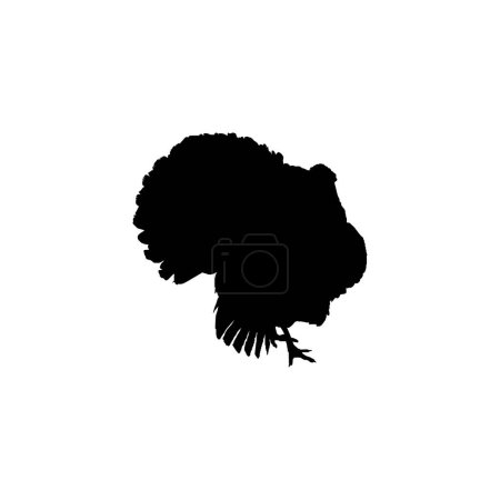 Foto de Silueta de Turquía para ilustración de arte, pictograma o elemento de diseño gráfico. El pavo es un ave grande del género Meleagris. Ilustración vectorial - Imagen libre de derechos