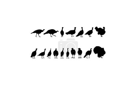 Illustration for Flock of the Turkey Silhouette for Art Illustration, Pictogram or Graphic Design Element. The Turkey is a large bird in the genus Meleagris. Vector Illustration - Royalty Free Image