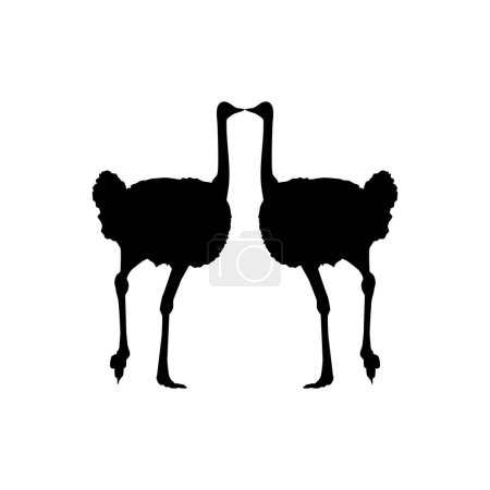 Téléchargez les illustrations : Pair of the Ostrich Silhouette for Logo, Pictogram, Art Illustration or Graphic Design Element. Vector Illustration - en licence libre de droit