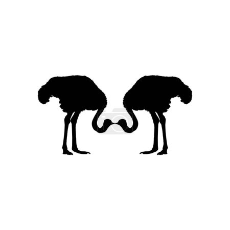 Foto de Pair of the Ostrich Silhouette for Logo, Pictogram, Art Illustration or Graphic Design Element. Vector Illustration - Imagen libre de derechos