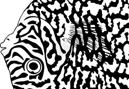 Patrón de motivos artísticos sin costura Inspirado en Symphysodon o Discus Fish, para decoración, adornado, fondo, sitio web, papel pintado, moda, interior, cubierta, impresión animal o elemento de diseño gráfico
