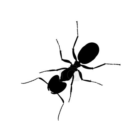 Ameisensilhouette für Kunstillustration, Logo, Piktogramm, Website oder Grafikdesign-Element. Vektorillustration