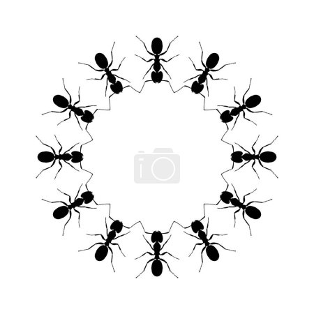 Ilustración de Colony of the Ant Silhouette Circle Shape Composición para ilustración de arte, logotipo, pictograma, sitio web o elemento de diseño gráfico. Ilustración vectorial - Imagen libre de derechos