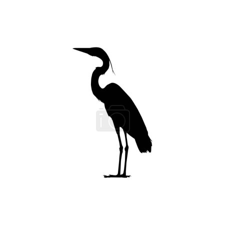 Photo for The Black Heron Bird (Egretta Ardesiaca), also known as the Black Egret Silhouette for Art Illustration, Logo, Pictogram, Website, or Graphic Design Element. Vector Illustration - Royalty Free Image