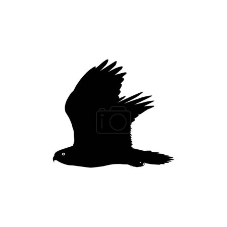 Illustration for Silhouette of the Flying Bird of Prey, Falcon or Hawk, for Logo, Pictogram, Website, Art Illustration, or Graphic Design Element. Vector Illustration - Royalty Free Image