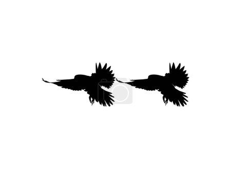 Téléchargez les illustrations : Silhouette de la Paire Volante Oiseau de proie, Faucon ou Faucon, pour Logo, Pictogramme, Site Web, Illustration d'Art, ou Élément de Graphisme. Illustration vectorielle - en licence libre de droit