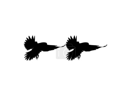 Foto de Silueta de la pareja voladora Ave de presa, halcón o halcón, para logotipo, pictograma, sitio web, ilustración de arte o elemento de diseño gráfico. Ilustración vectorial - Imagen libre de derechos
