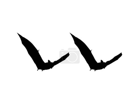 Photo for Silhouette of the Pair of Flying Fox or Bat for Art Illustration, Icon, Symbol, Pictogram, Logo, Website, or Graphic Design Element. Vector Illustration - Royalty Free Image