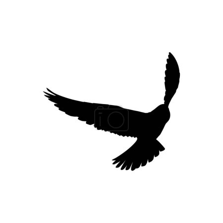 Ilustración de Silueta del ave voladora de presa, halcón o halcón, para logotipo, pictograma, sitio web, ilustración de arte o elemento de diseño gráfico. Ilustración vectorial - Imagen libre de derechos