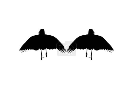 Photo for Pair of The Black Heron Bird (Egretta Ardesiaca), also known as the Black Egret Silhouette for Art Illustration, Logo, Pictogram, Website, or Graphic Design Element. Vector Illustration - Royalty Free Image