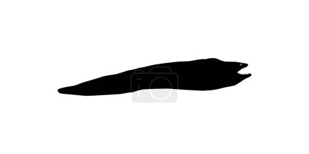 Illustration for Silhouette of the Moray eels or Muraenidae, for Art Illustration, Logo Type, Pictogram or Graphic Design Element. Vector Illustration - Royalty Free Image