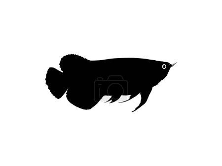 Illustration for Silhouette of the Arowana or Arwana also known as Dragon Fish, for Art Illustration, Logo Type, Pictogram, Website or Graphic Design Element. Vector Illustration - Royalty Free Image